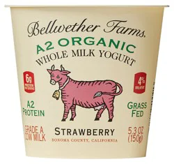 Bellwether Farms Organic Strawberry Jersey Cow Yogurt