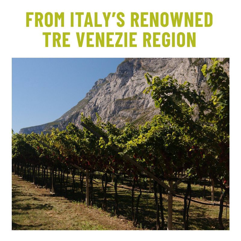 slide 7 of 9, Ecco Domani Italian Pinot Grigio White Wine - 750ml Bottle, 750 ml