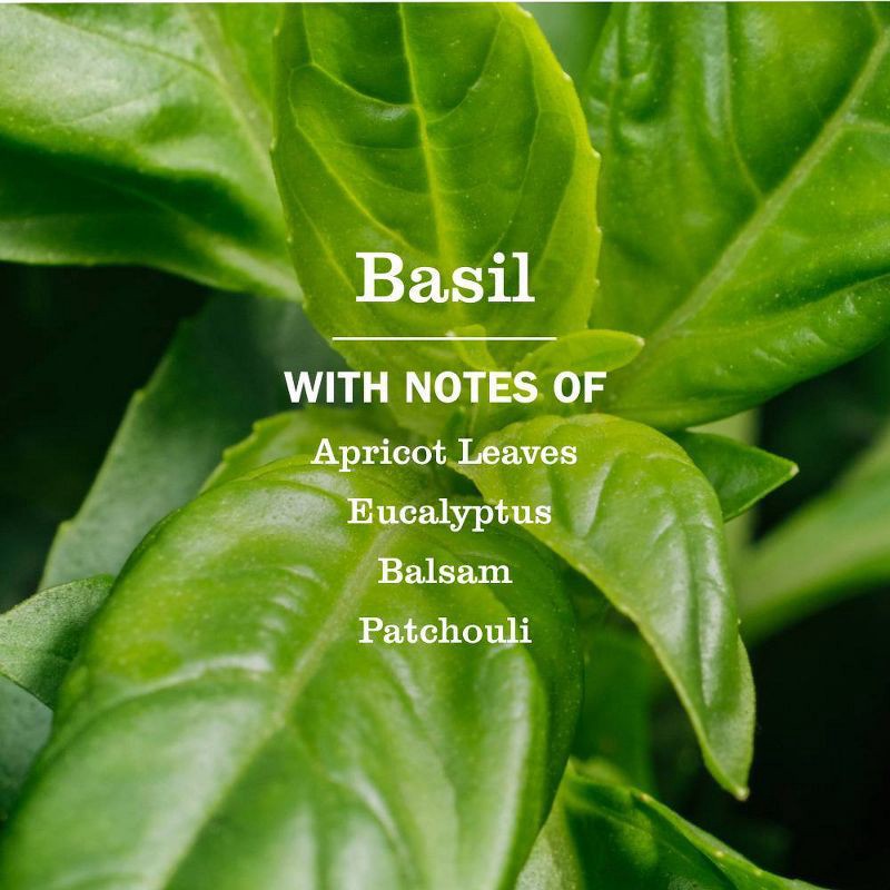 slide 3 of 8, Mrs. Meyer's Clean Day Basil Scent Liquid Hand Soap - 12.5 fl oz, 12.5 fl oz