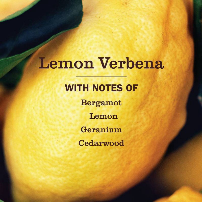 slide 3 of 8, Mrs. Meyer's Clean Day Lemon Verbena Multi-Surface Everyday Cleaner - 16 fl oz, 16 fl oz