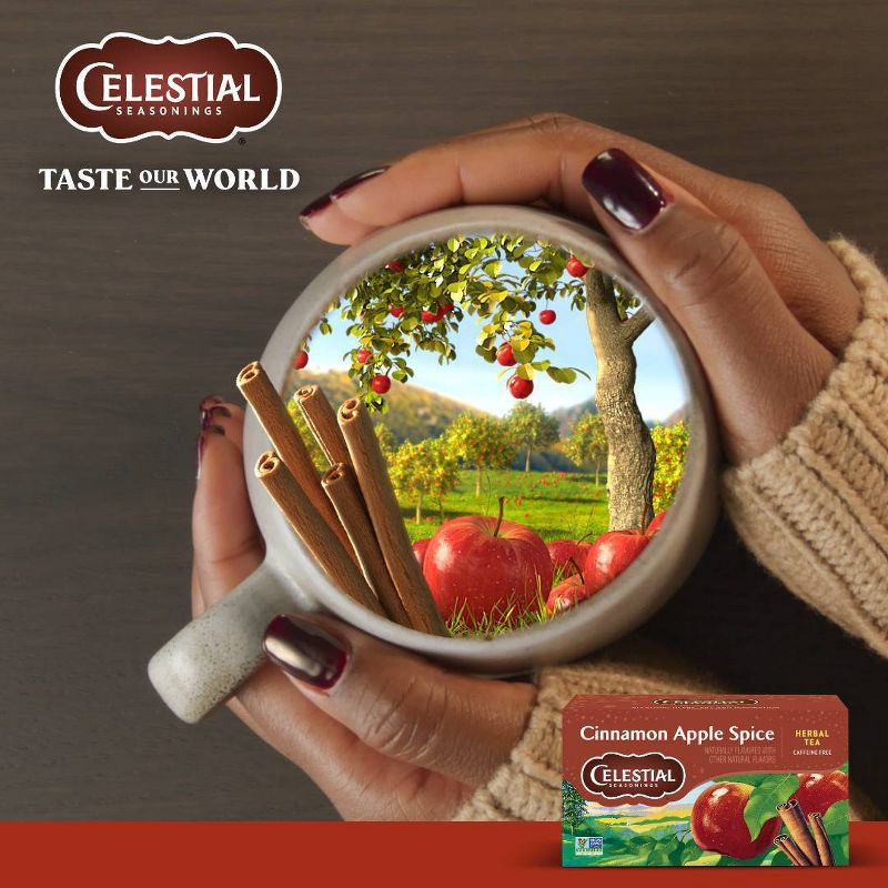 slide 6 of 6, Celestial Seasonings Cinnamon Apple Spice Herb Tea - 1.7oz/20ct, 20 ct; 1.7 oz