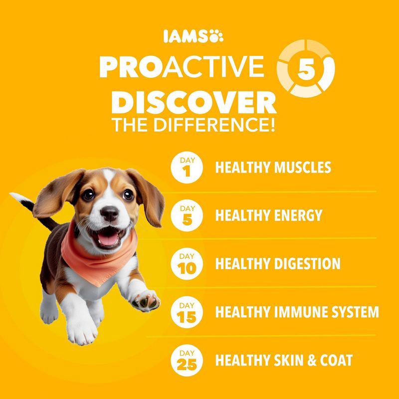 slide 3 of 11, IAMS Proactive Health Chicken and Whole Grains Flavor Puppy Dry Dog Food - 15lbs, 15 lb