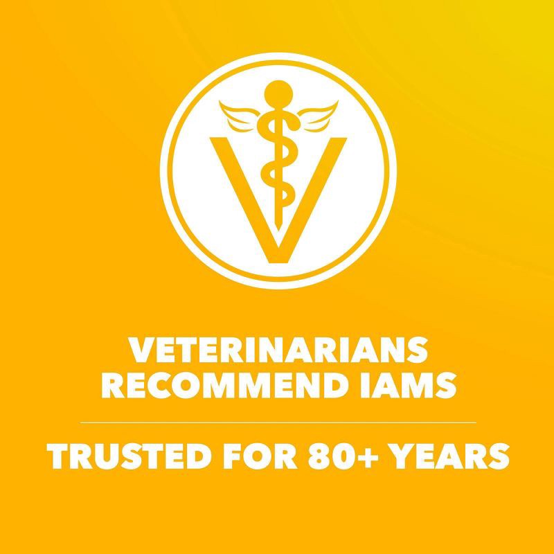 slide 7 of 11, IAMS Proactive Health Chicken and Whole Grains Flavor Puppy Dry Dog Food - 15lbs, 15 lb