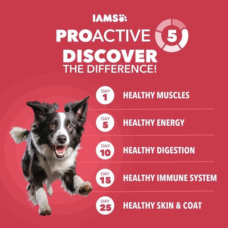 slide 3 of 12, IAMS Proactive Health Minichunks Lamb and Rice Flavor Dry Dog Food - 15lbs, 15 lb