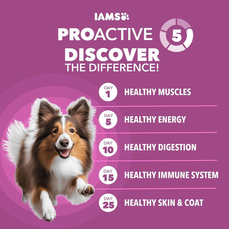 slide 3 of 11, IAMS Healthy Aging Chicken and Whole Grain Flavor Senior Dry Dog Food - 15lbs, 15 lb