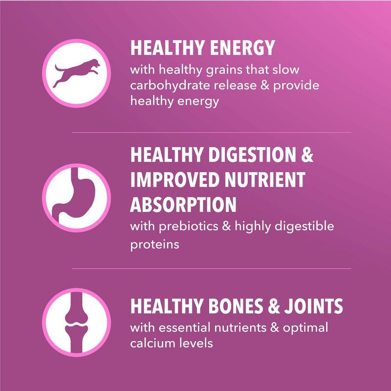 slide 6 of 11, IAMS Healthy Aging Chicken and Whole Grain Flavor Senior Dry Dog Food - 15lbs, 15 lb