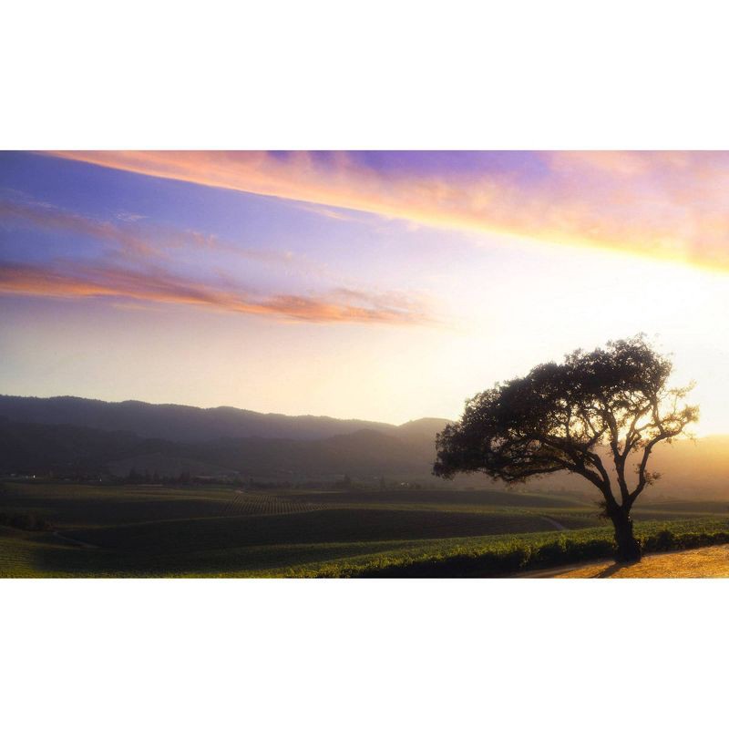 slide 3 of 4, Diseno Malbec Red Wine - 750ml Bottle, 750 ml