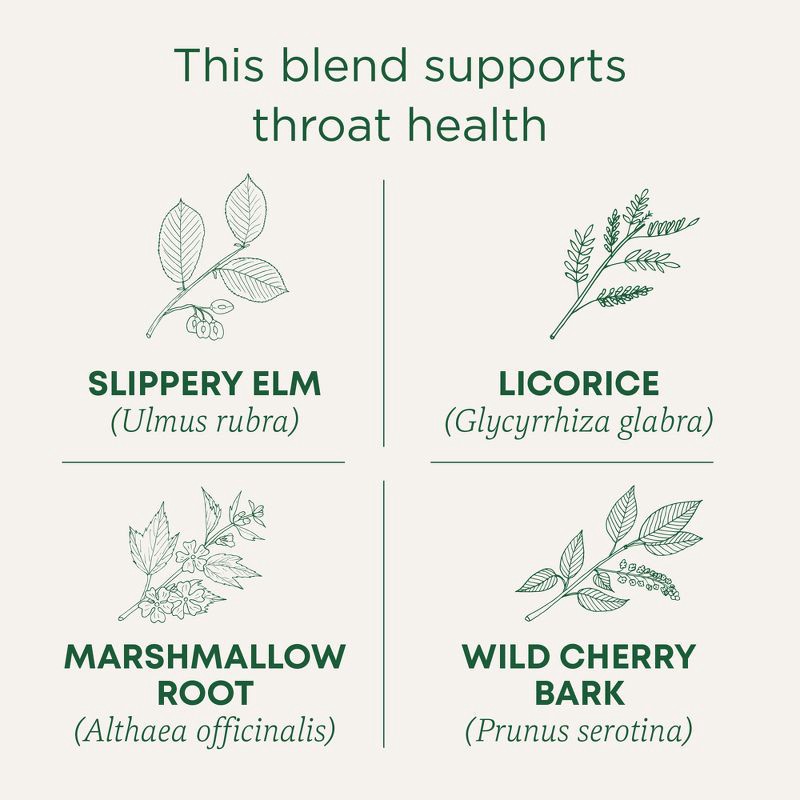slide 2 of 14, Traditional Medicinals Organic Throat Coat Herbal Dietary Supplement Herbal Tea - 16ct, 16 ct
