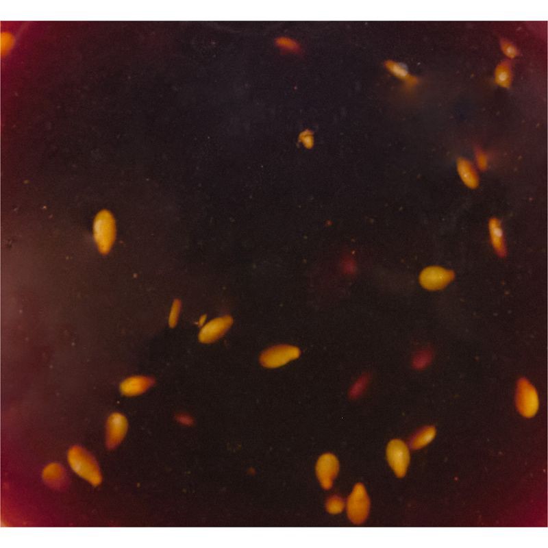 slide 13 of 22, Lawry's Teriyaki With Pineapple Juice Marinade - 12 fl oz, 12 fl oz