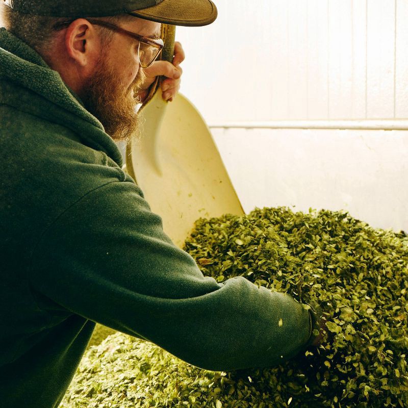 slide 11 of 12, Sierra Nevada Pale Ale Beer - 6pk/12 fl oz Bottles, 6 ct; 12 fl oz