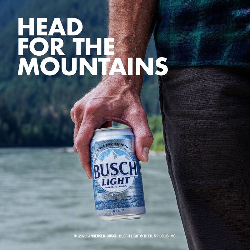 slide 4 of 8, Busch Light American Lager Beer - 30pk/12 fl oz Cans, 30 ct; 12 fl oz