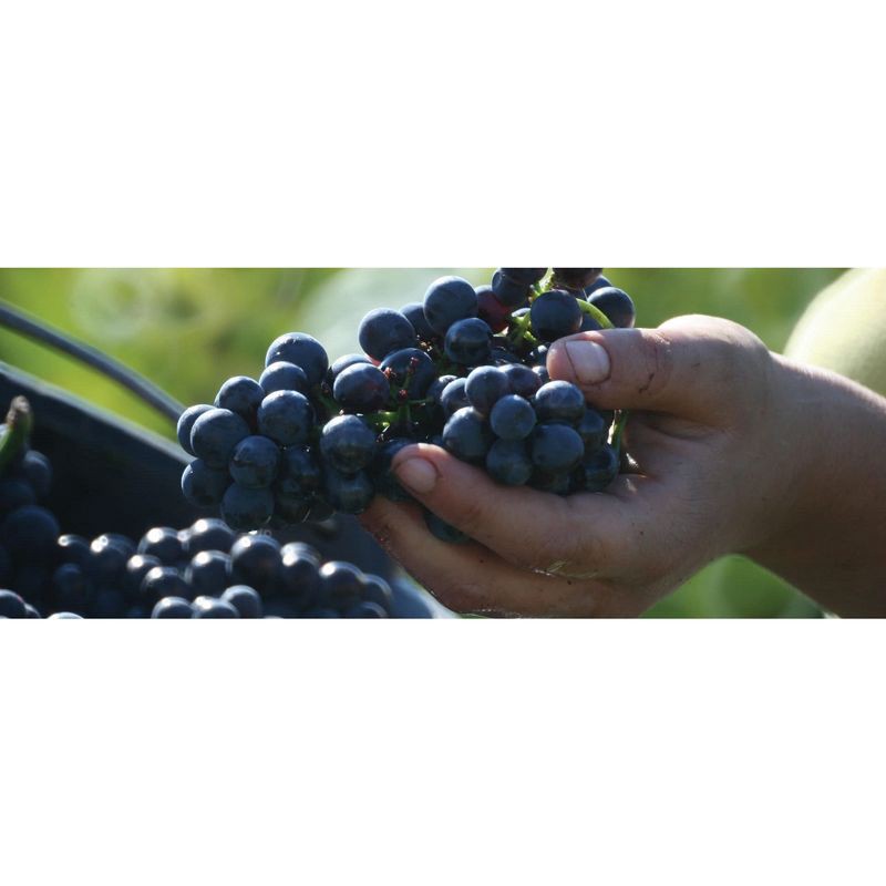 slide 4 of 8, Louis Jadot Beaujolais Villages Red Wine - 750ml Bottle, 750 ml