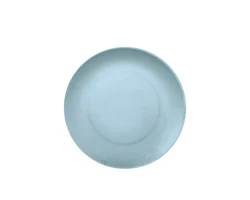 Everyday Living Essential Dinner Plate - Blue