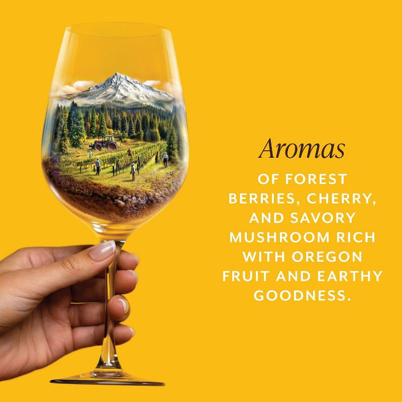 slide 3 of 7, Erath Pinot Noir Red Wine - 750ml Bottle, 750 ml