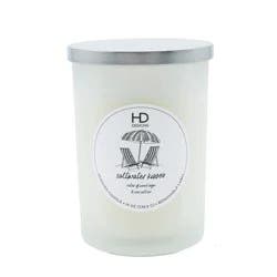 HD Designs Frosted Two Wick Jar Candle Saltwater Kisses