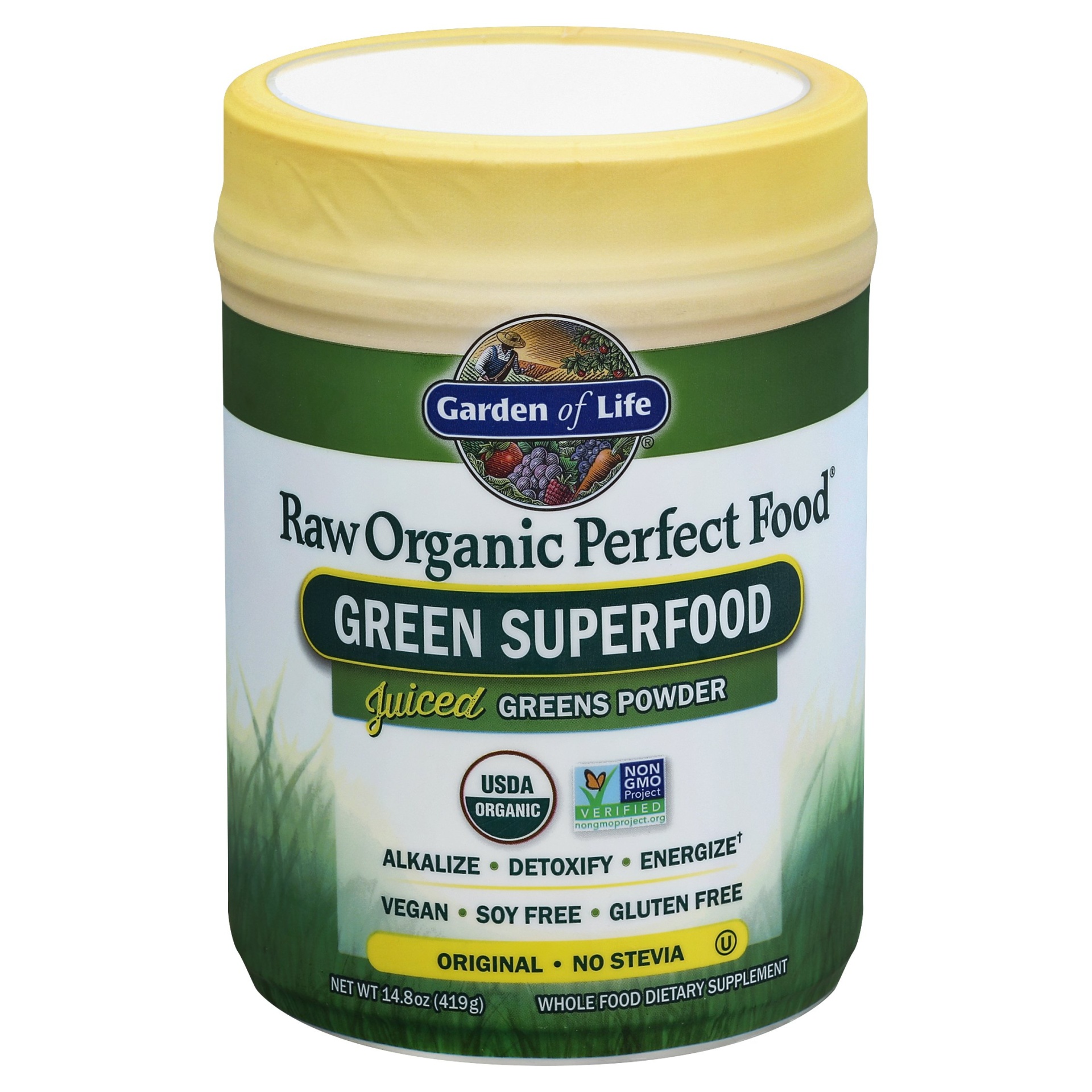 slide 1 of 2, Garden of Life Raw Organic Perfect Food Green Superfood Powder, 14.6 oz