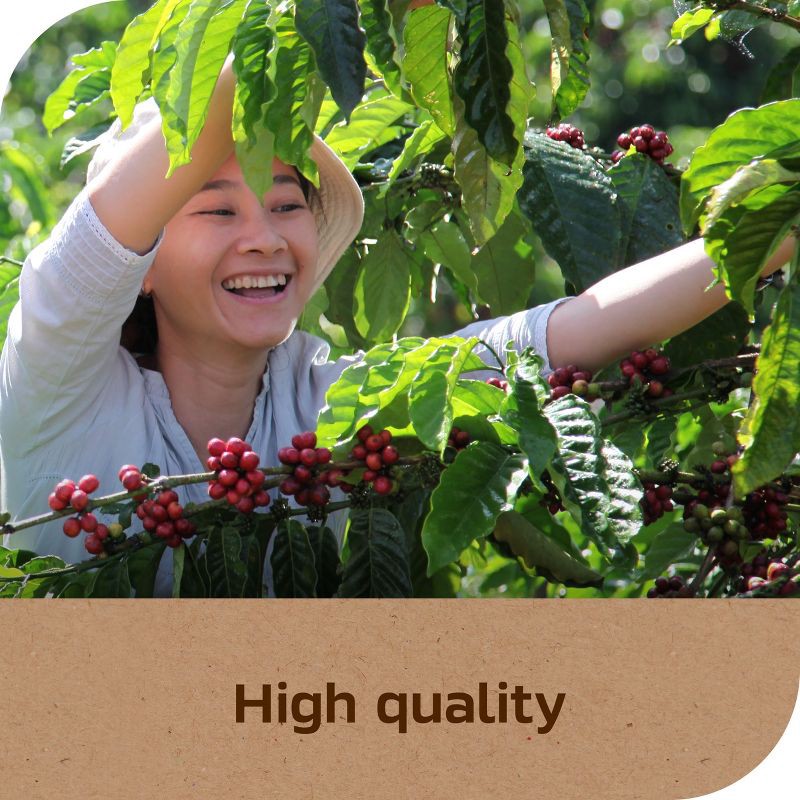 slide 8 of 8, Nescafe Taster's Choice Instant Coffee, French Medium Roast - 7oz, 7 oz