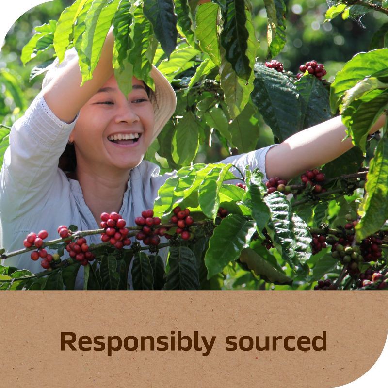 slide 8 of 8, Nescafe Taster's Choice Instant Coffee, French Medium Roast - 7oz, 7 oz