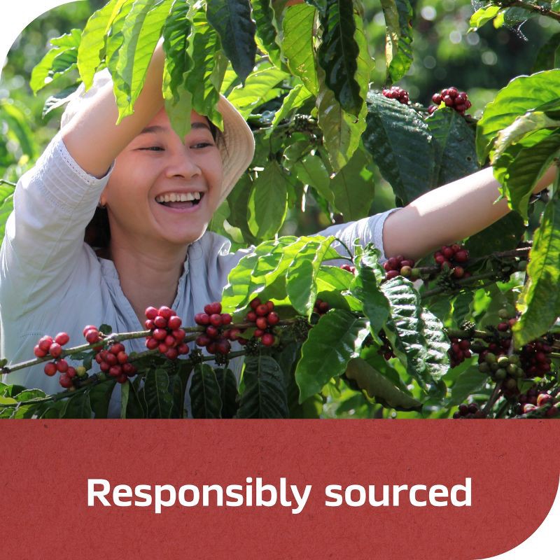 slide 8 of 9, Nescafe Clasico Dark Roast Instant Coffee Jar - 3.5oz, 3.5 oz