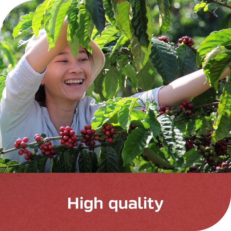 slide 8 of 9, Nescafe Clasico Dark Roast Coffee - 7oz, 7 oz