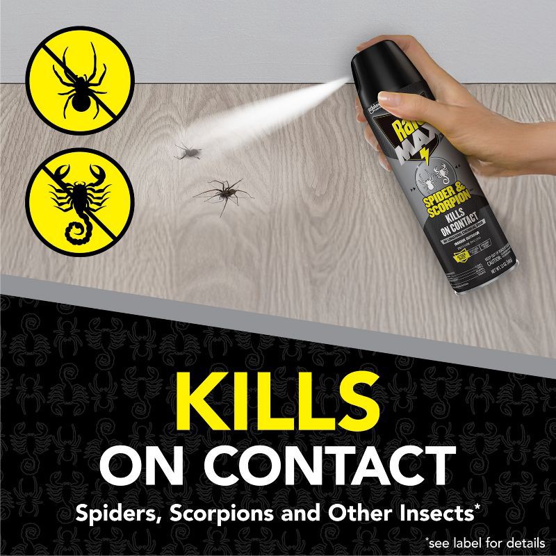 slide 2 of 13, Raid Max Spider and Scorpion Killer Bug Spray - 12oz, 12 oz