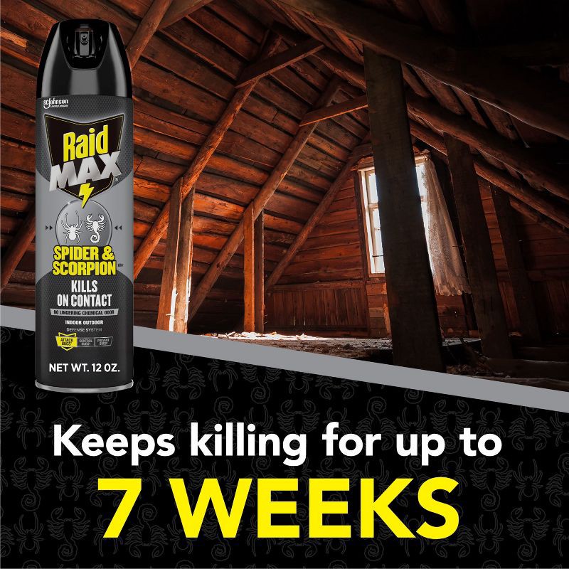 slide 3 of 13, Raid Max Spider and Scorpion Killer Bug Spray - 12oz, 12 oz