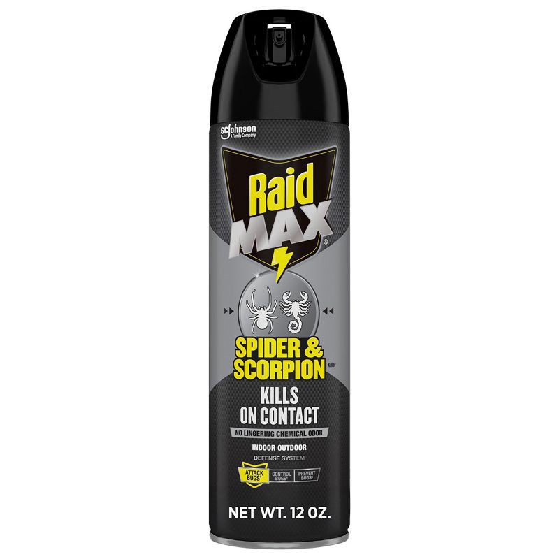 slide 1 of 13, Raid Max Spider and Scorpion Killer Bug Spray - 12oz, 12 oz