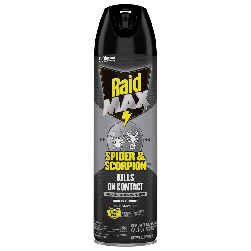 slide 10 of 13, Raid Max Spider and Scorpion Killer Bug Spray - 12oz, 12 oz