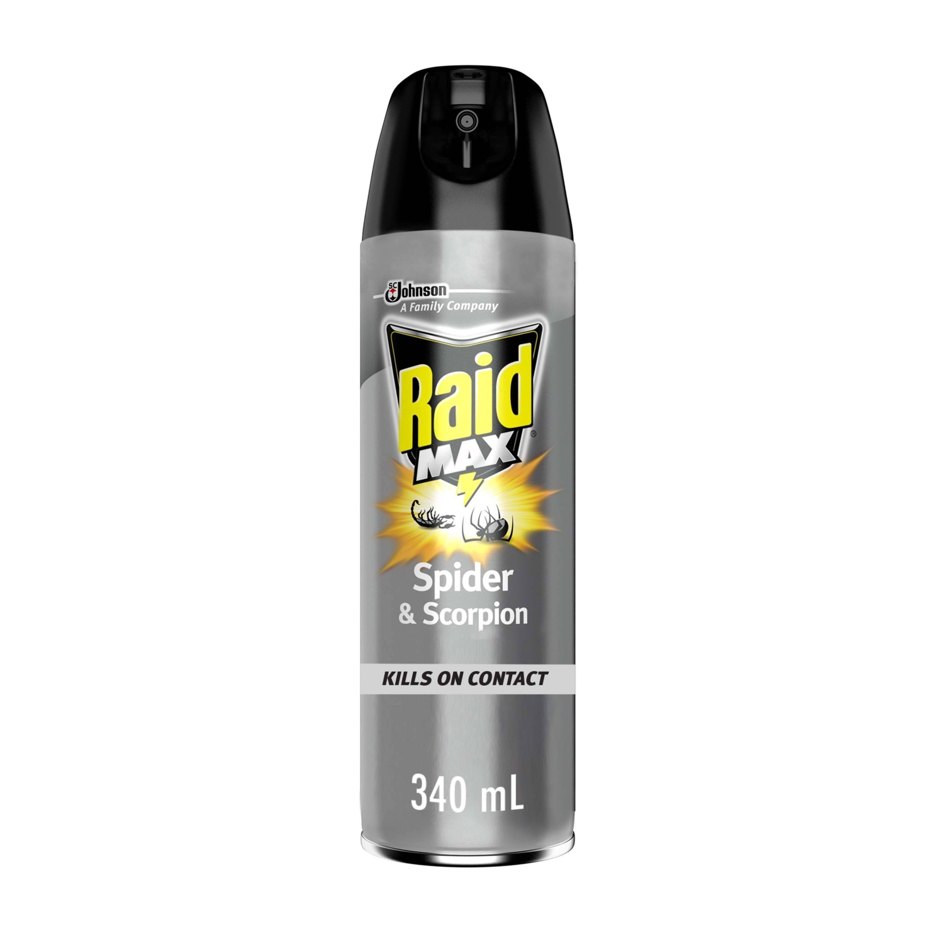 slide 1 of 6, Raid Max Spider & Scorpion Killer, 12 oz