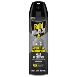 Raid Max Spider and Scorpion Killer Bug Spray - 12oz
