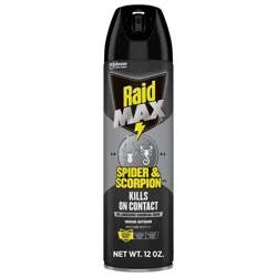 Raid Max Spider and Scorpion Killer Bug Spray - 12oz