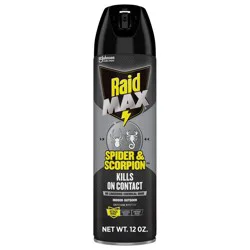 Raid Max Spider and Scorpion Killer Bug Spray - 12oz