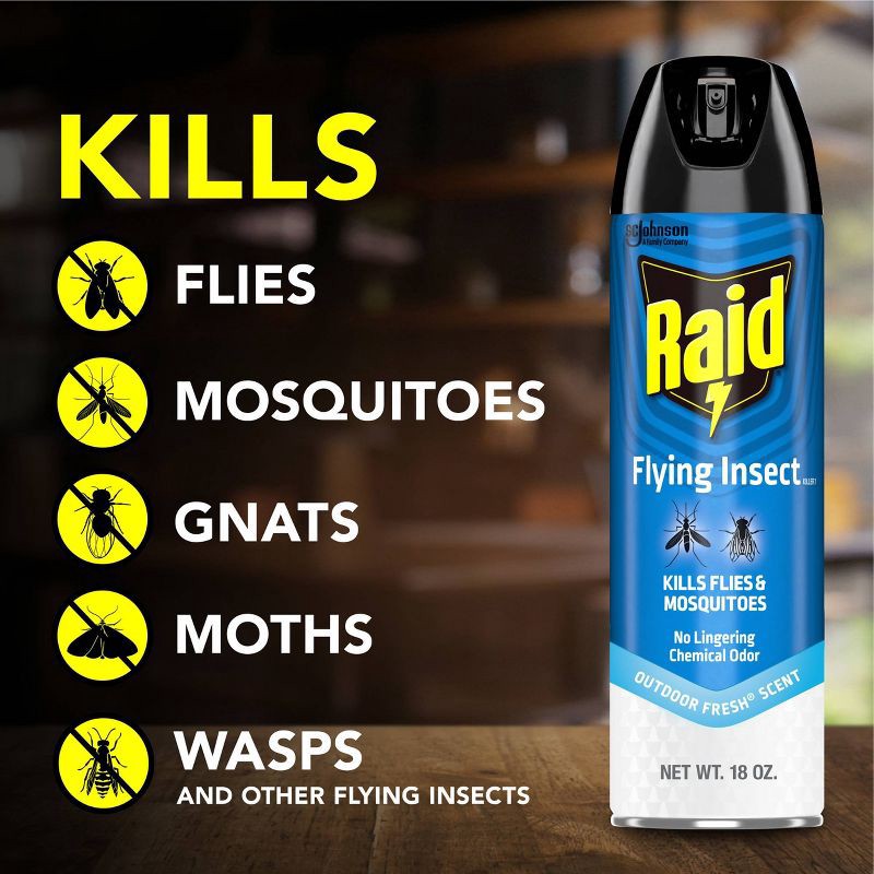 slide 2 of 13, Raid Flying Insect Killer Outdoor Bug Spray - Fresh - 18oz, 18 oz
