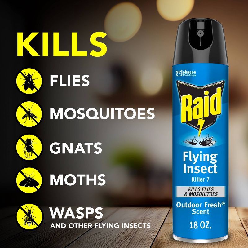 slide 6 of 13, Raid Flying Insect Killer Outdoor Fresh Scent Aerosol - 18oz, 18 oz