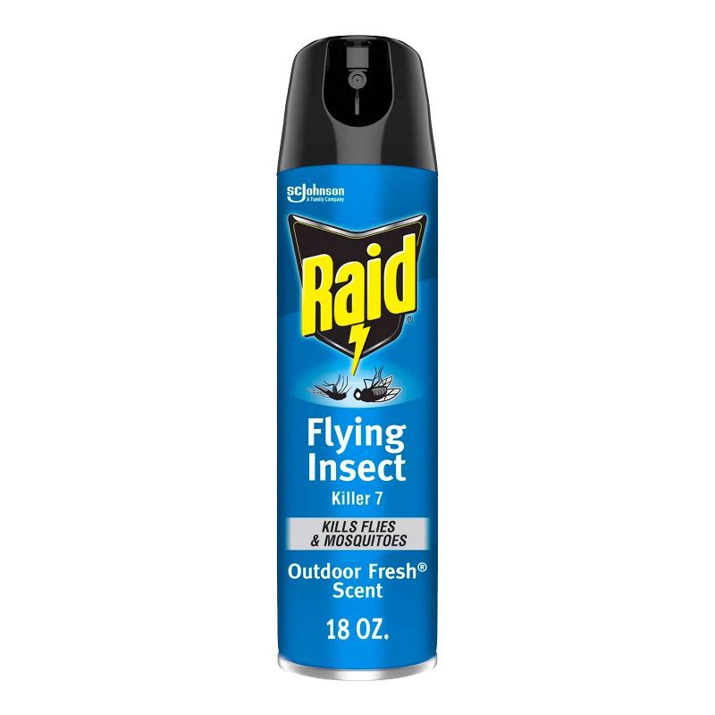 slide 1 of 13, Raid Flying Insect Killer Outdoor Fresh Scent Aerosol - 18oz, 18 oz