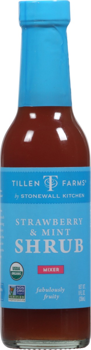 slide 6 of 9, Tillen Farms Mixer Strawberry & Mint Shrub - 8 fl oz, 8 fl oz
