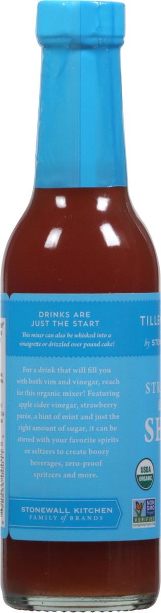 slide 3 of 9, Tillen Farms Mixer Strawberry & Mint Shrub - 8 fl oz, 8 fl oz