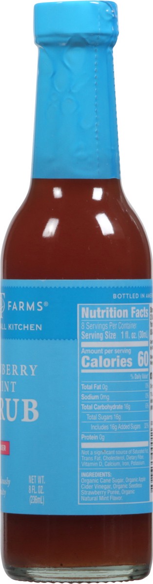 slide 5 of 9, Tillen Farms Mixer Strawberry & Mint Shrub - 8 fl oz, 8 fl oz