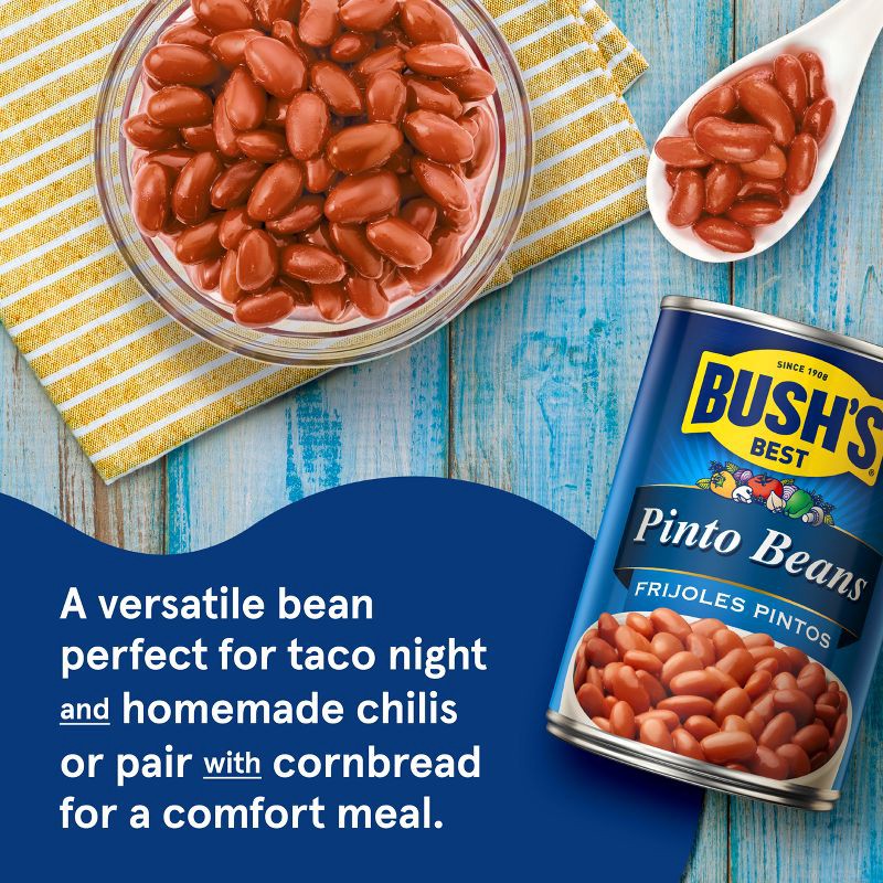 slide 5 of 9, Bush's Pinto Beans - 16oz, 16 oz