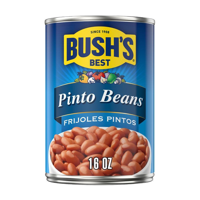 slide 1 of 9, Bush's Pinto Beans - 16oz, 16 oz