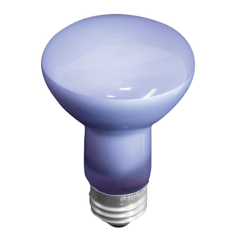 slide 2 of 3, GE Household Lighting GE 45W Reveal Light Bulb, 1 ct