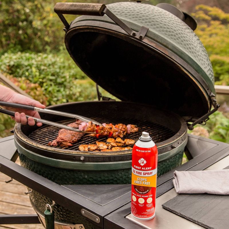 slide 4 of 4, First Alert AF400 EZ Fire Spray Fire Extinguishing Aerosol Spray, 1 ct