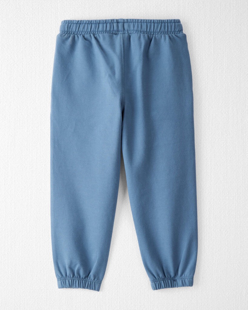 slide 5 of 5, Littleplanet Toddler 2-Pack Organic Cotton French Terry Sweatpants Summer Grey, Wells Blue 2T, 2T
