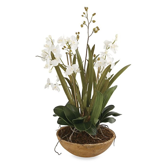 slide 1 of 2, Uttermost Moth Orchid Planter, 1 ct