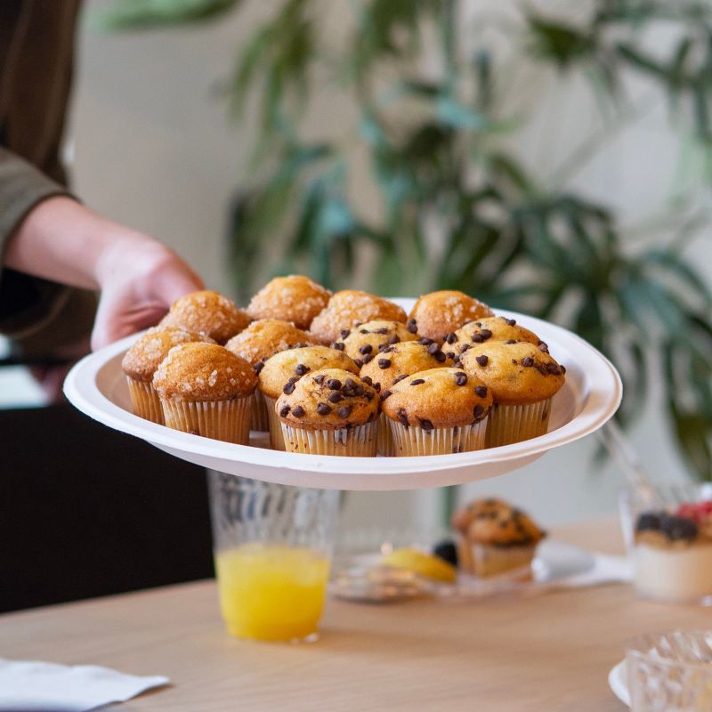 slide 3 of 6, Chinet Classic Dinner Plate 10 3/8" - 32ct, 32 ct