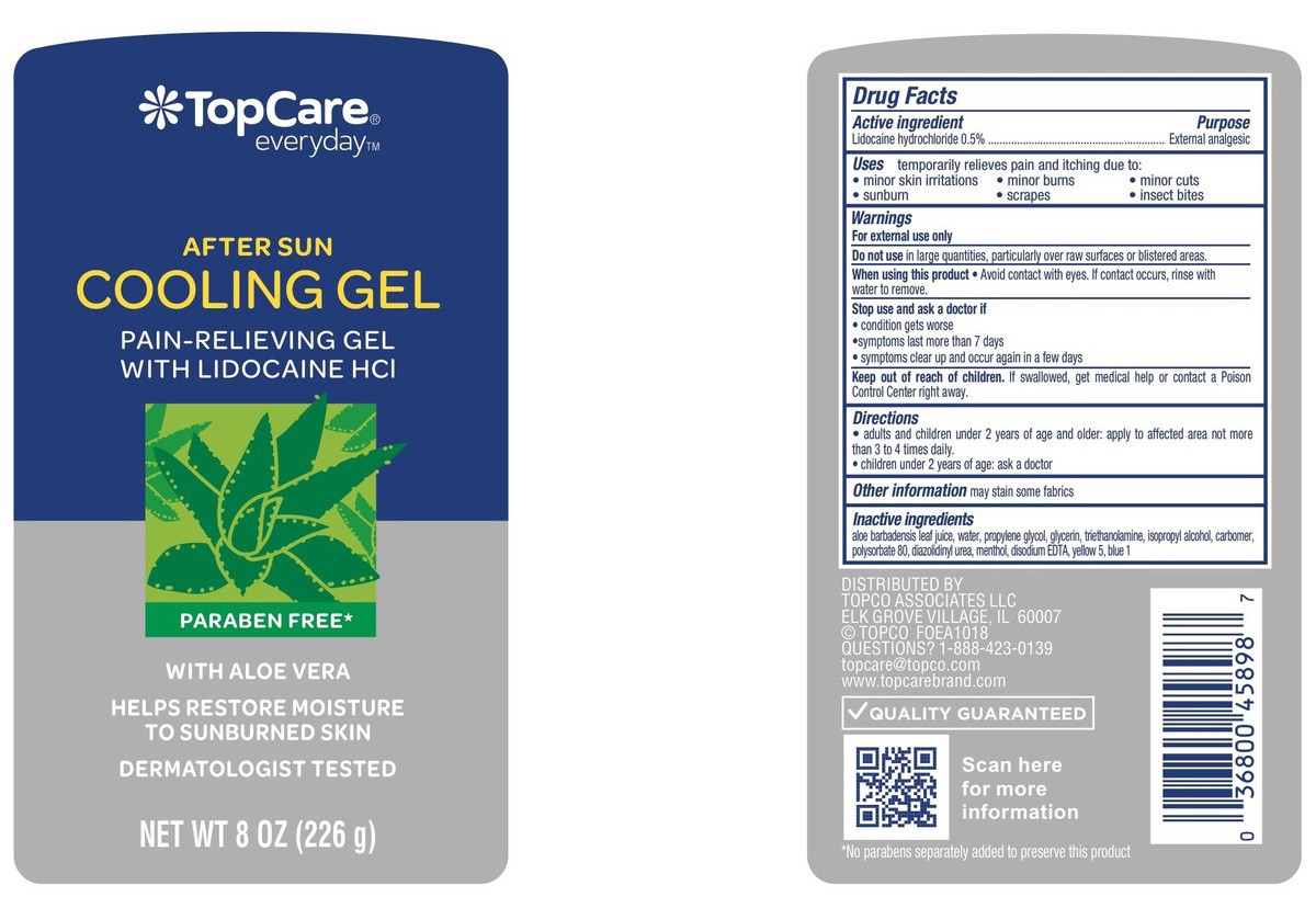 slide 3 of 12, TopCare After Sun Cooling Lidocaine Hcl With Aloe Vera Pain-Relieving Gel, 8 oz