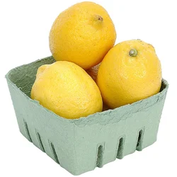 Organic Lemons - 3 ct
