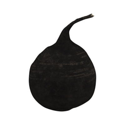 slide 1 of 1, Radish Black Organic, 1 ct
