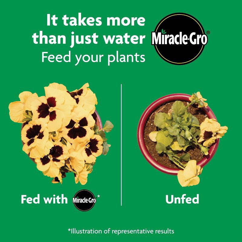 slide 10 of 11, Miracle-Gro Shake 'N Feed All Purpose Continuous Release Plant Food 4.5lb: Nutrient-Rich, Easy Dispensing, 3-Month Supply, 4.5 lb