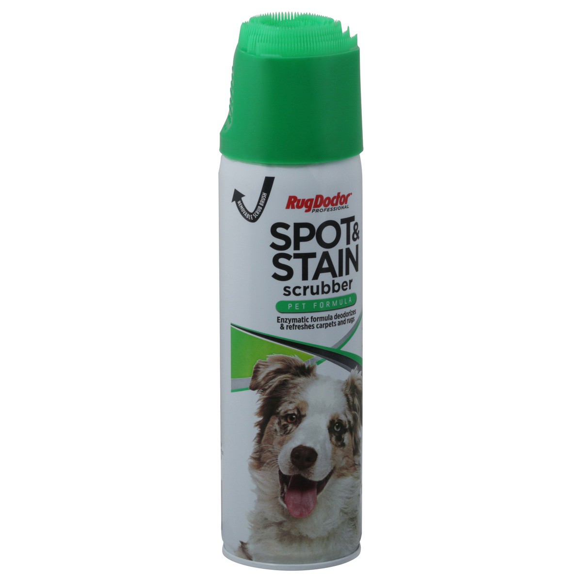 slide 2 of 9, Rug Doctor Pet Formula Fresh Spring Scent Spot & Stain Scrubber 18 oz, 18 oz